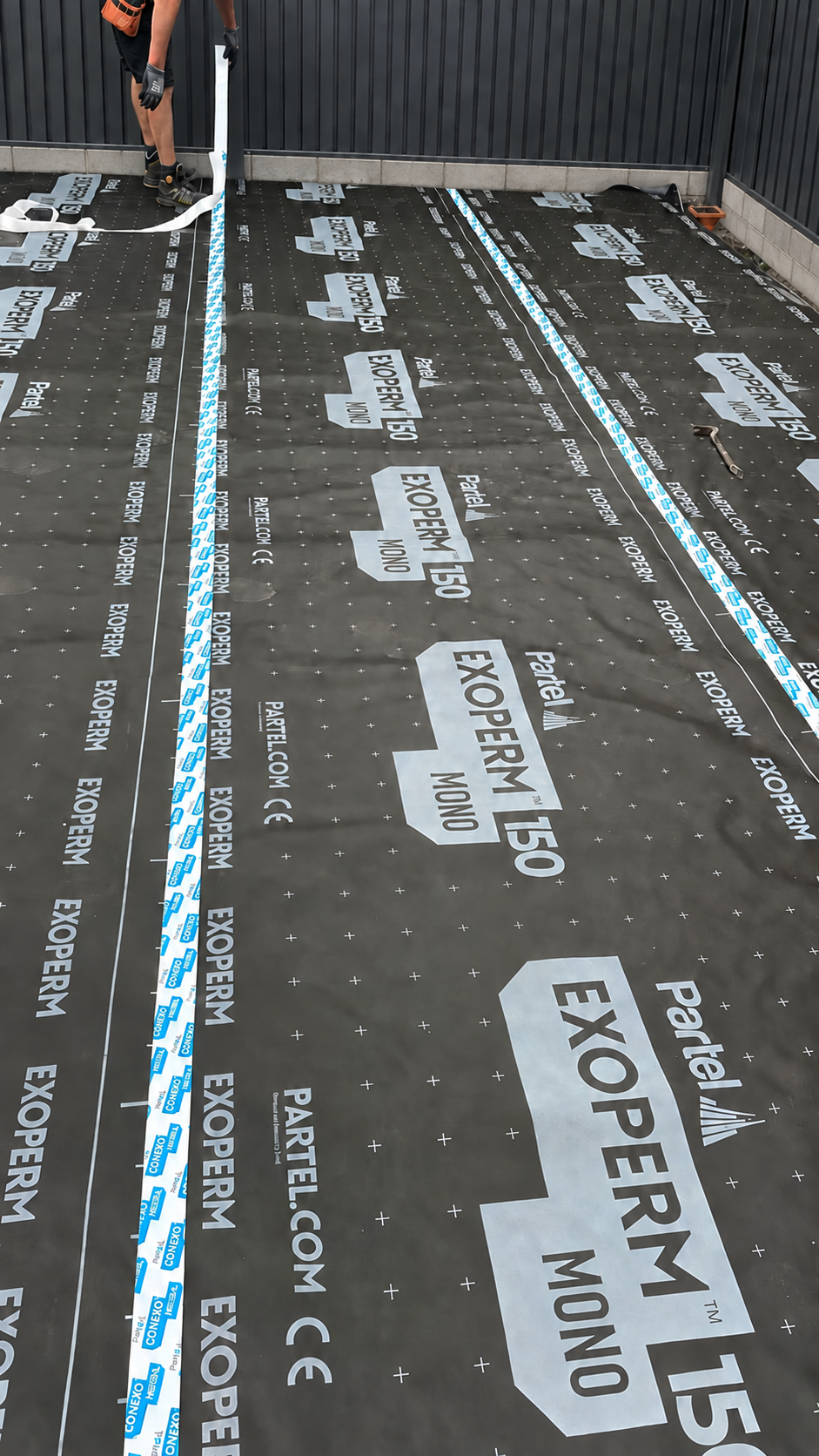 Membrane layer
